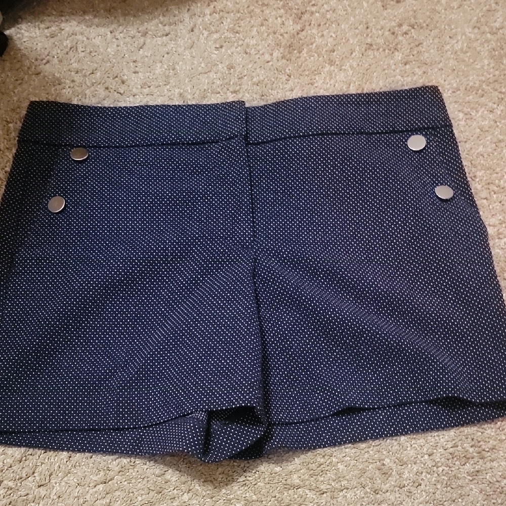Ann Taylor Shorts